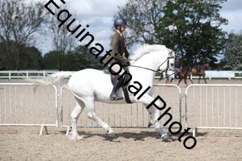 EMY-1331