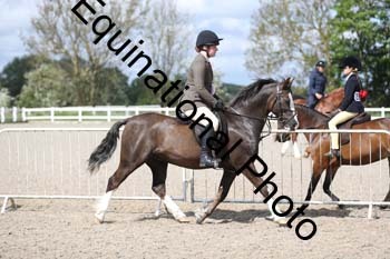 EMY-1336