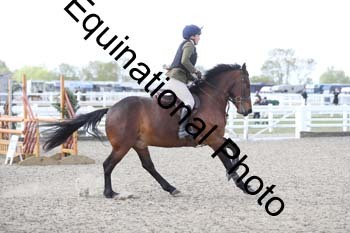 EMY-1353