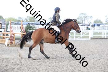 EMY-1364
