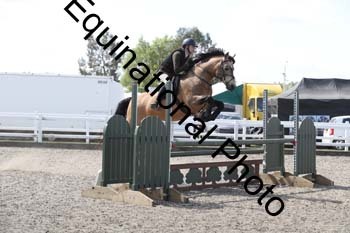 EMY-1380