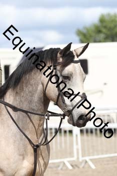 EMY-1391