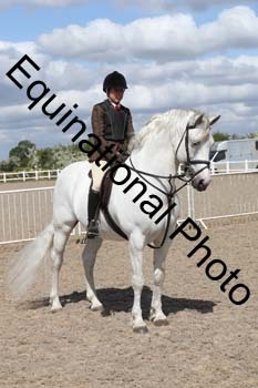 EMY-1415