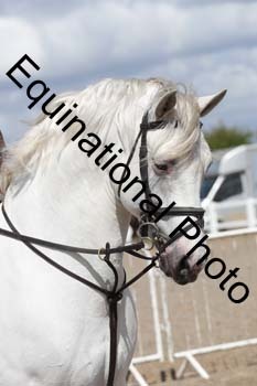 EMY-1418