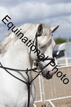 EMY-1419