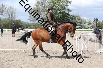 EMY-1433