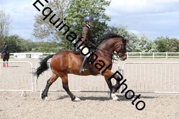 EMY-1435