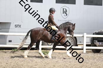 EMY-1443
