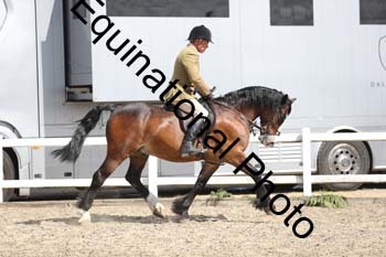 EMY-1445