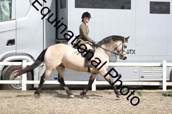 EMY-1448