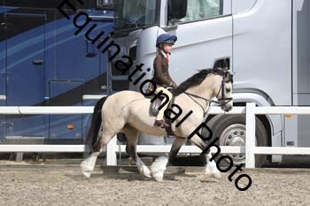 EMY-1456
