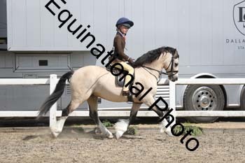 EMY-1458