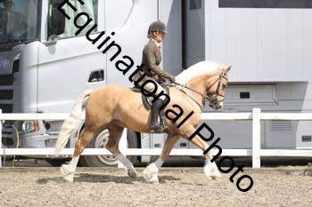 EMY-1460