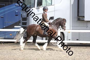 EMY-1462