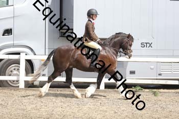 EMY-1463