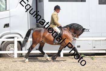 EMY-1465