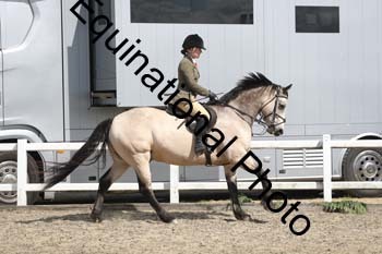 EMY-1466
