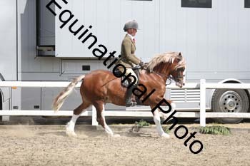 EMY-1468