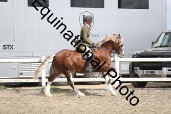 EMY-1469