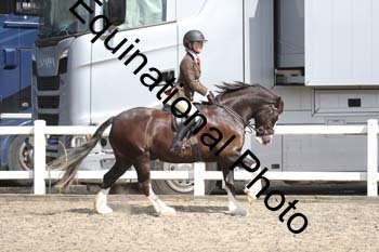 EMY-1474