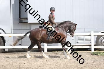 EMY-1475