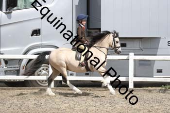 EMY-1476