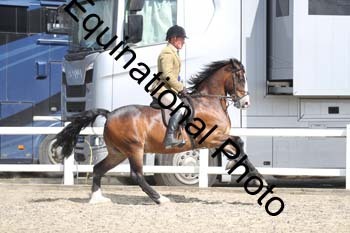 EMY-1478