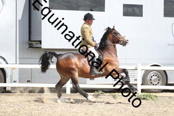 EMY-1479