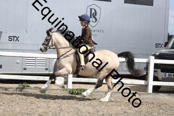 EMY-1488