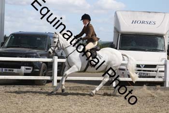 EMY-1491