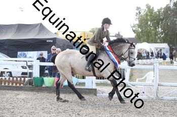 EMY-1517