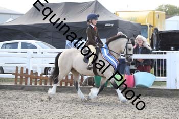 EMY-1519