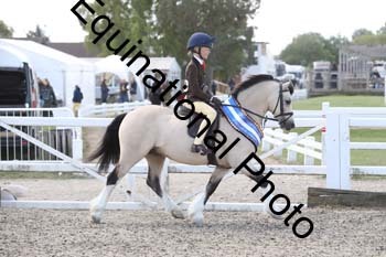EMY-1520