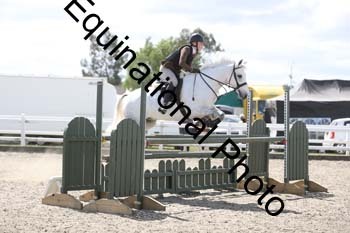 EMY-1550