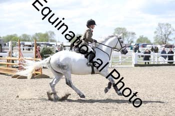 EMY-1560