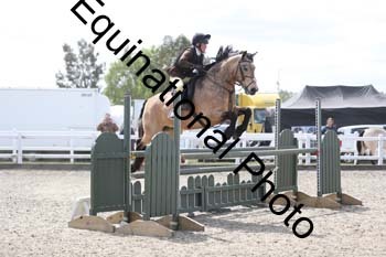 EMY-1568