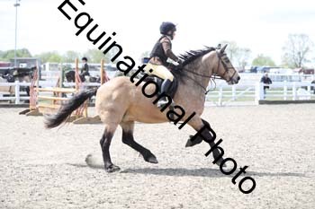 EMY-1569