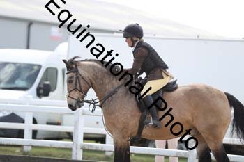 EMY-1575