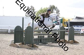 EMY-1579