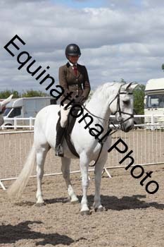 EMY-1636