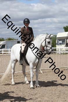 EMY-1637
