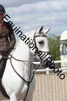 EMY-1641
