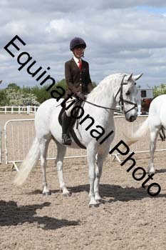 EMY-1643