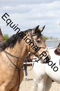 EMY-1660