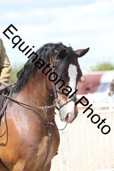 EMY-1666
