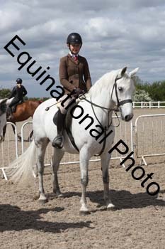 EMY-1675