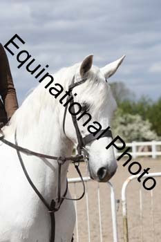 EMY-1679