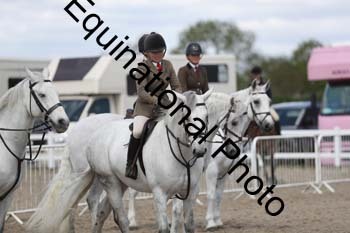 EMY-1686