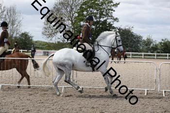 EMY-1699