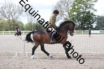 EMY-1703